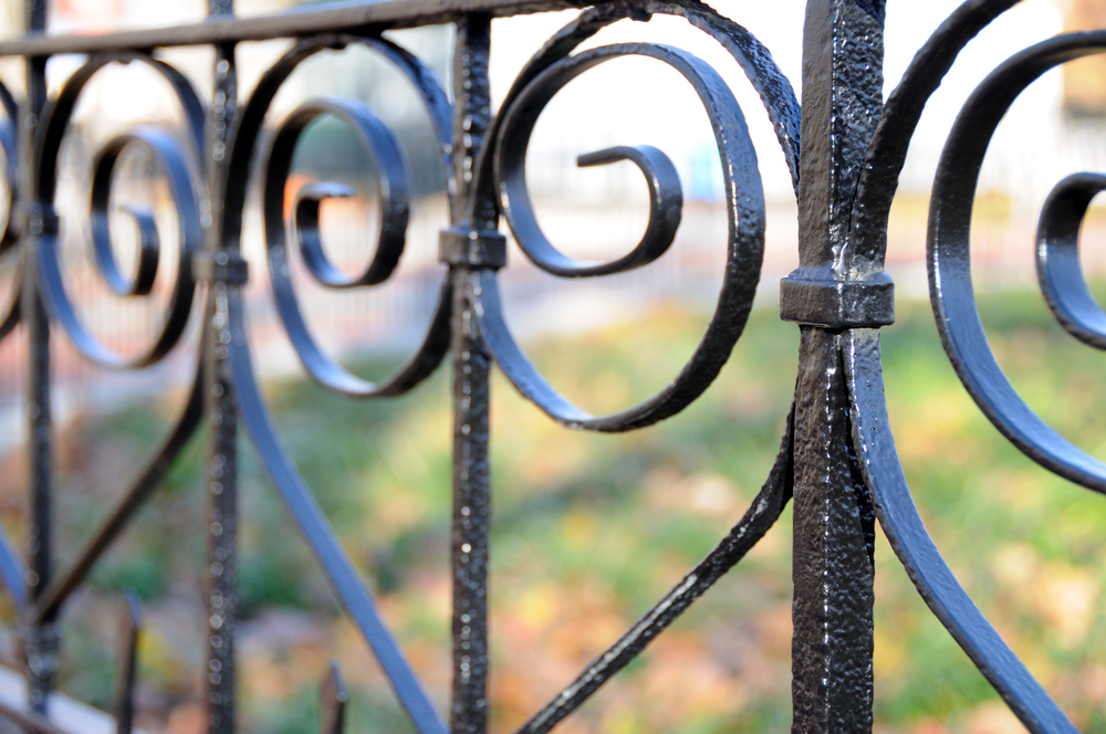 New York Attorney Ella Kohn